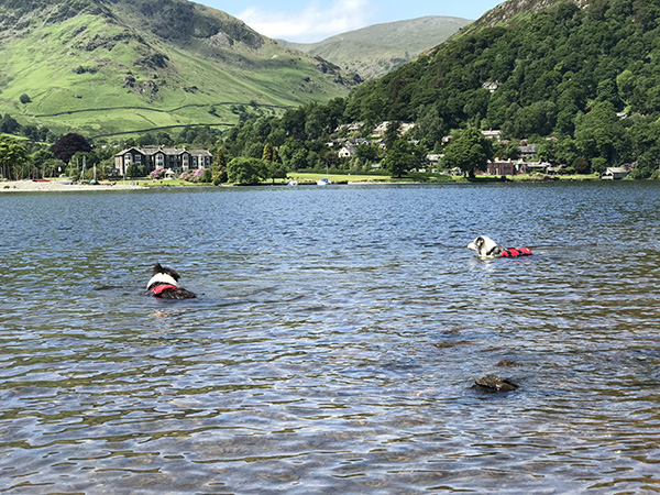 Merl and Gabe swimming